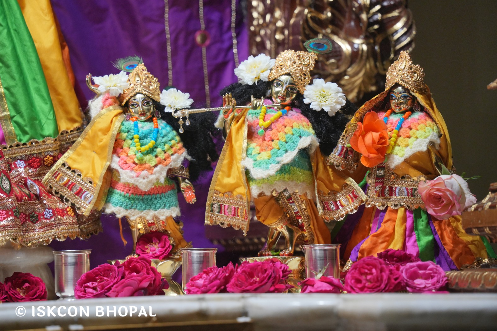 WhatsApp Image 2026-02-11 at 8.08.09 AM (2)