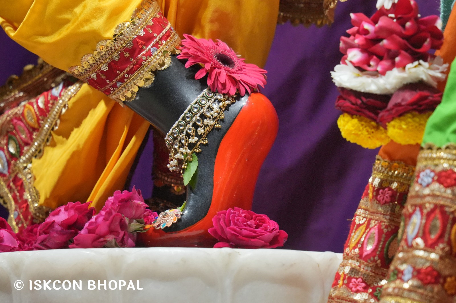 WhatsApp Image 2026-02-11 at 8.08.10 AM (3)