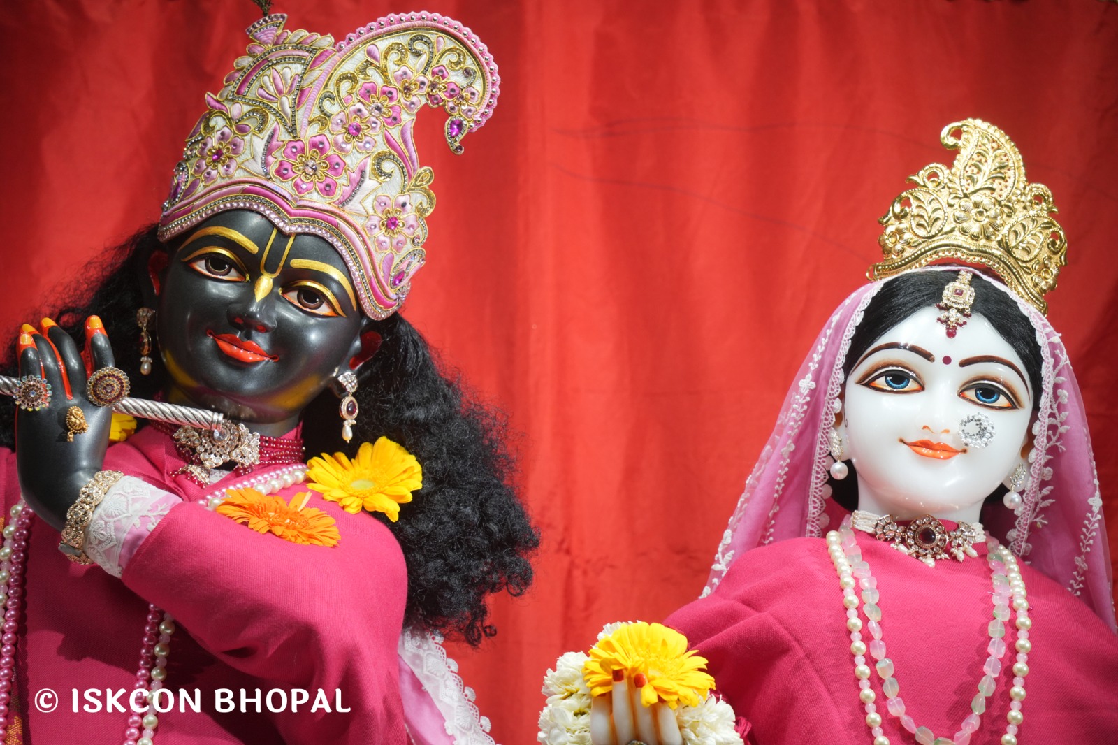 WhatsApp Image 2026-02-12 at 7.06.04 AM (2)