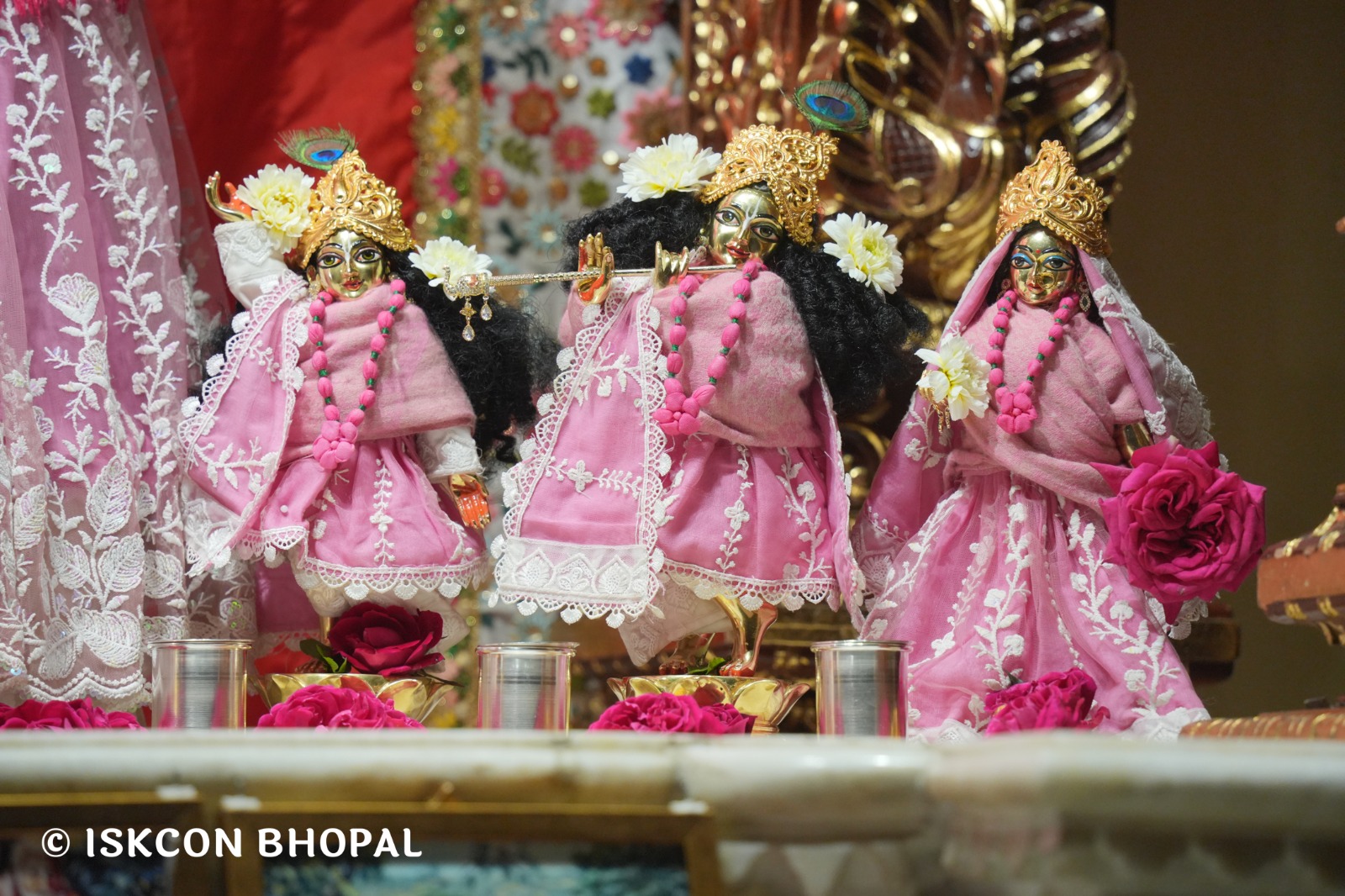 WhatsApp Image 2026-02-12 at 7.06.04 AM (3)