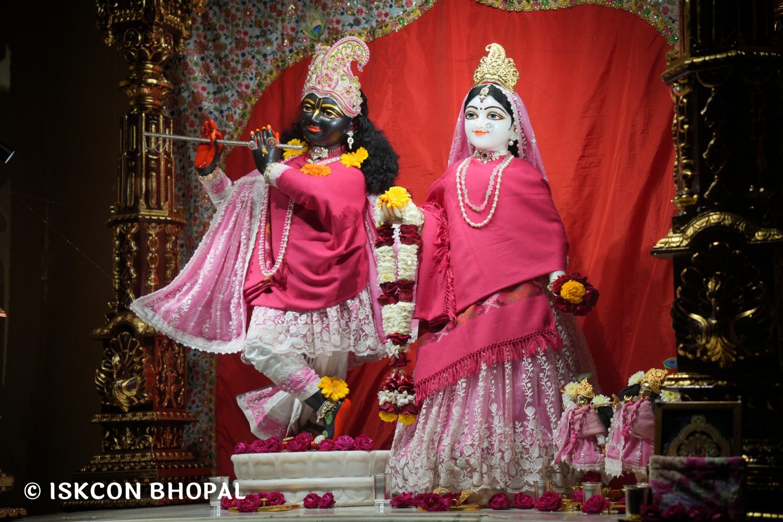 WhatsApp Image 2026-02-12 at 7.06.05 AM (3)