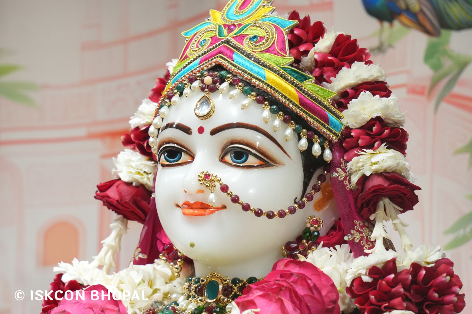 WhatsApp Image 2026-02-12 at 7.53.59 AM (1)