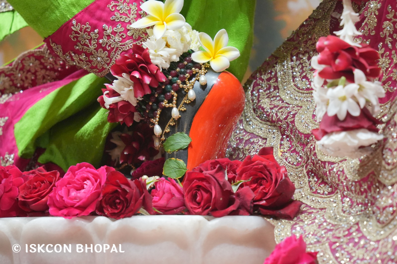 WhatsApp Image 2026-02-12 at 7.53.59 AM