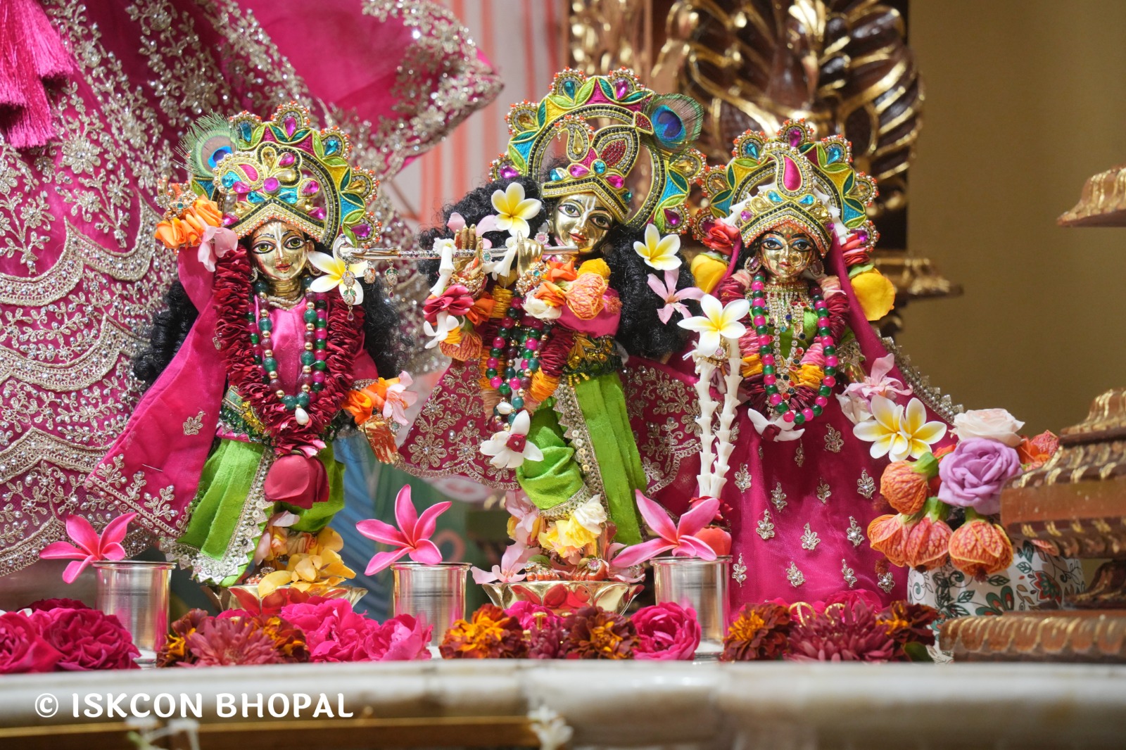 WhatsApp Image 2026-02-12 at 7.54.00 AM (1)