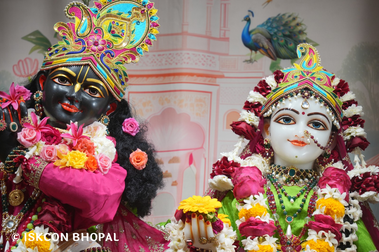 WhatsApp Image 2026-02-12 at 7.54.00 AM (2)