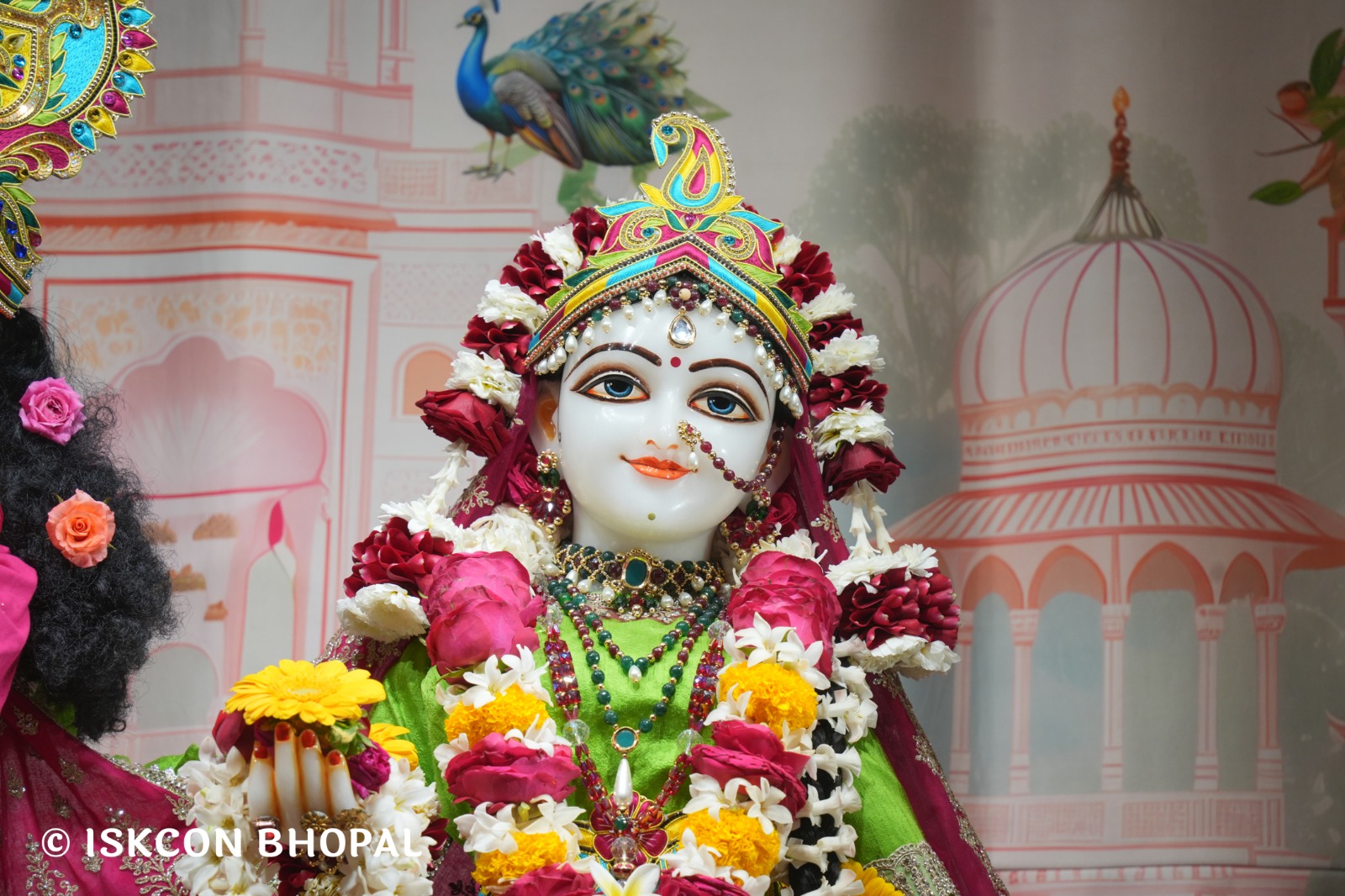 WhatsApp Image 2026-02-12 at 7.54.00 AM (3)