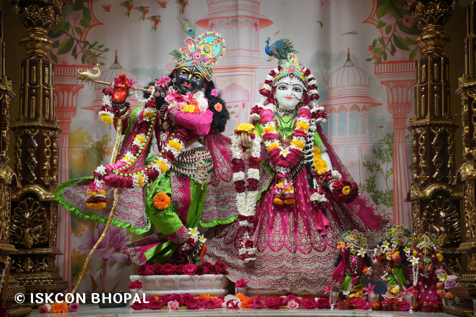 WhatsApp Image 2026-02-12 at 7.54.01 AM (2)