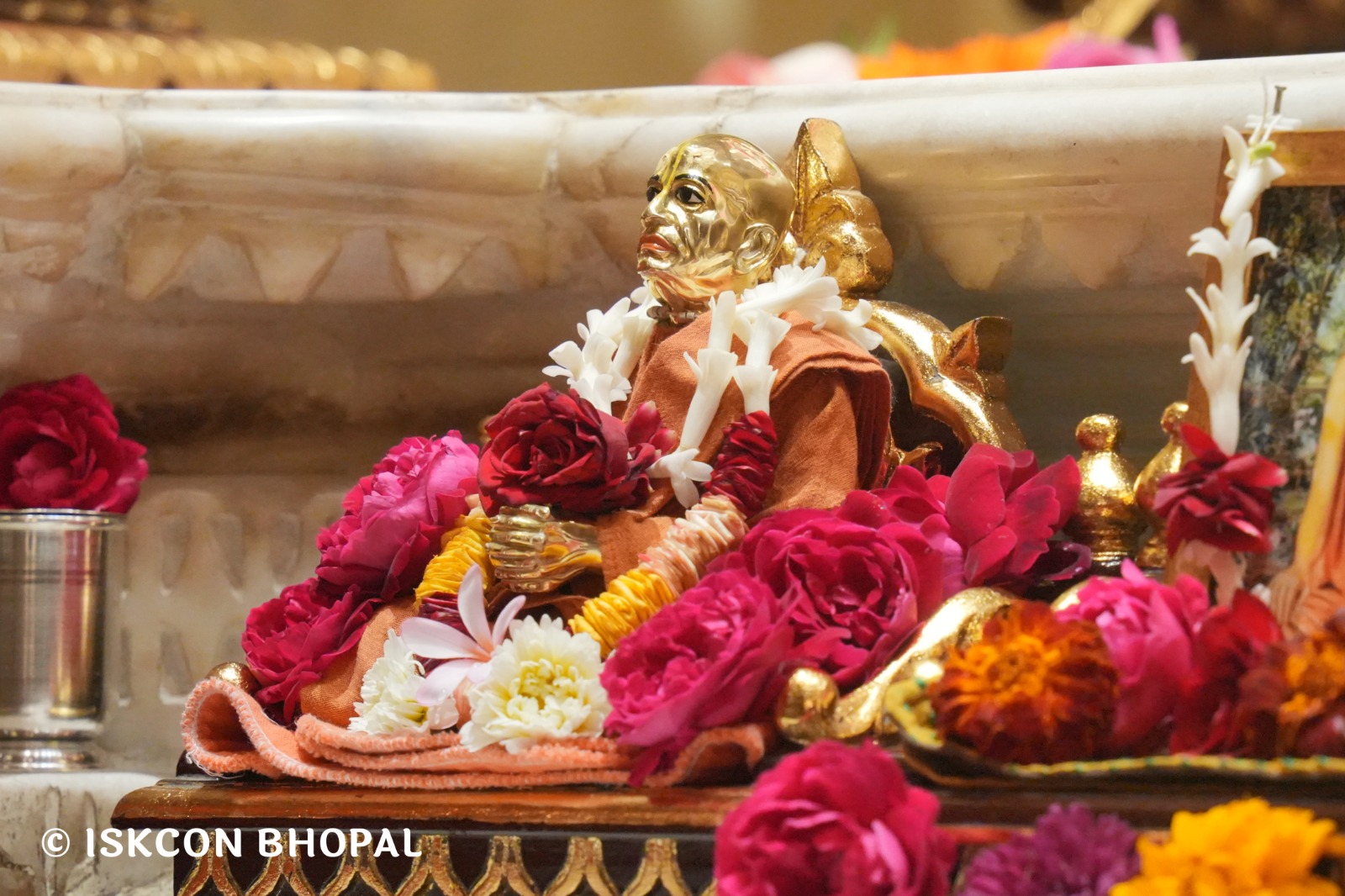 WhatsApp Image 2026-02-12 at 7.54.01 AM (3)