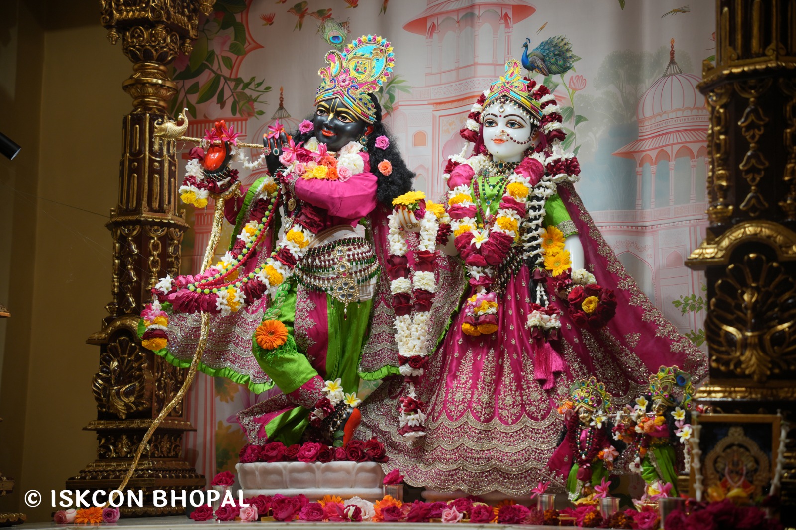 WhatsApp Image 2026-02-12 at 7.54.02 AM (1)