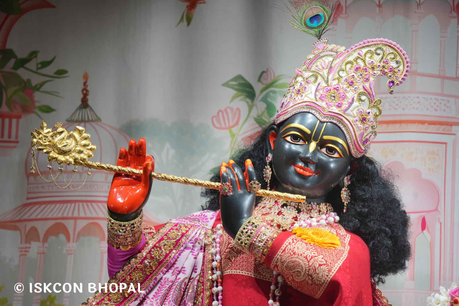 WhatsApp Image 2026-02-13 at 8.27.23 AM (1)