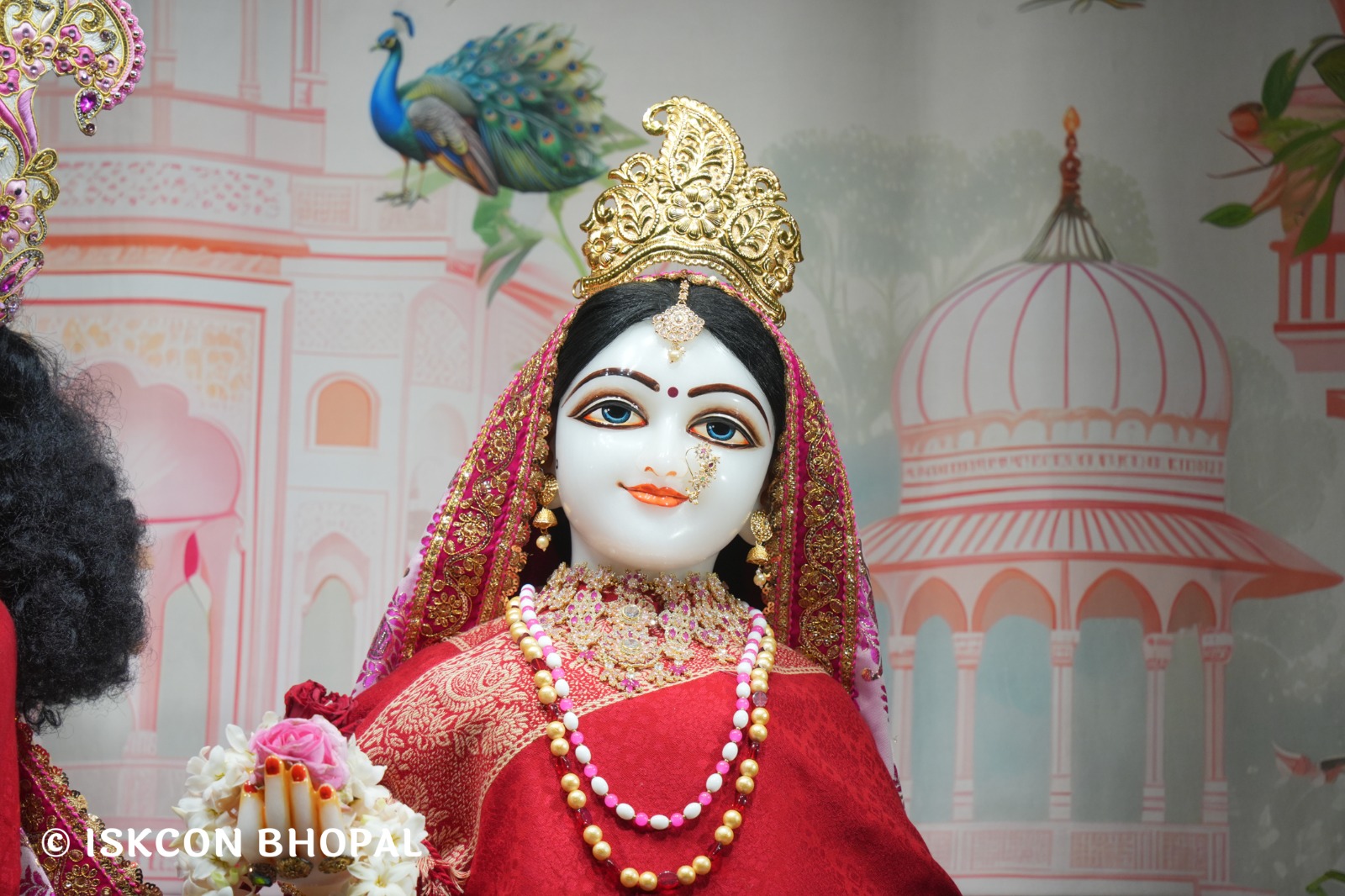 WhatsApp Image 2026-02-13 at 8.27.23 AM