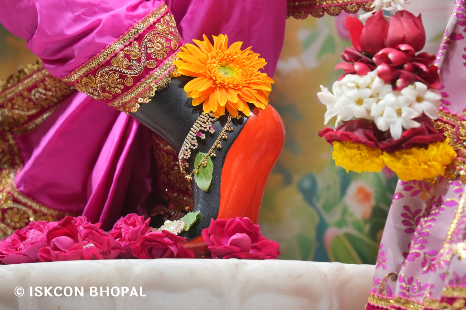 WhatsApp Image 2026-02-13 at 8.27.24 AM (3)