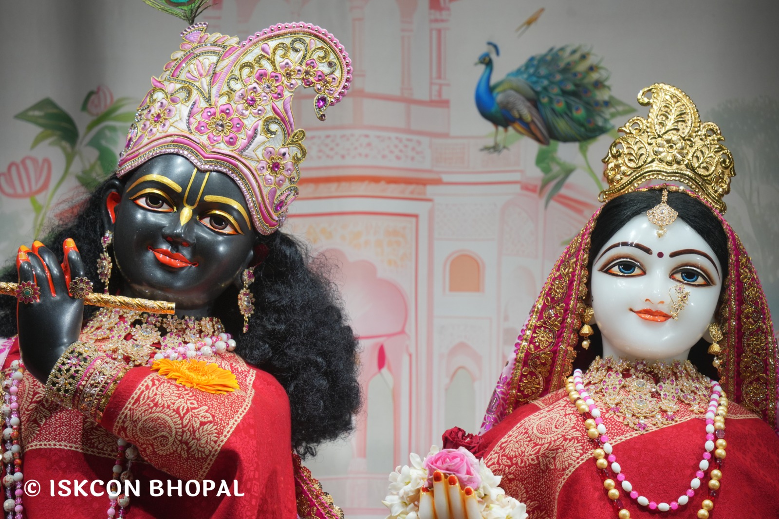 WhatsApp Image 2026-02-13 at 8.27.25 AM (1)