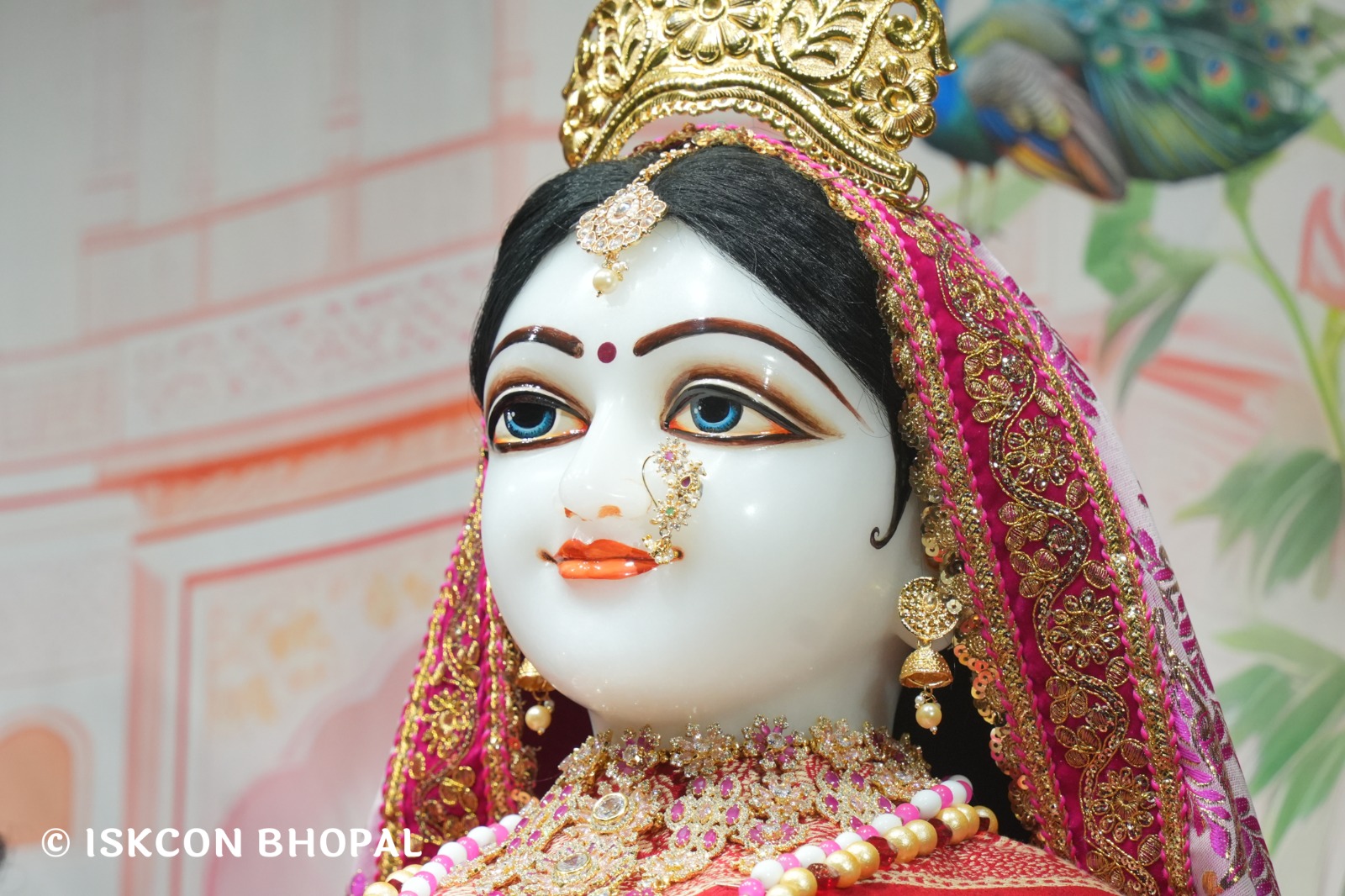 WhatsApp Image 2026-02-13 at 8.27.25 AM (2)