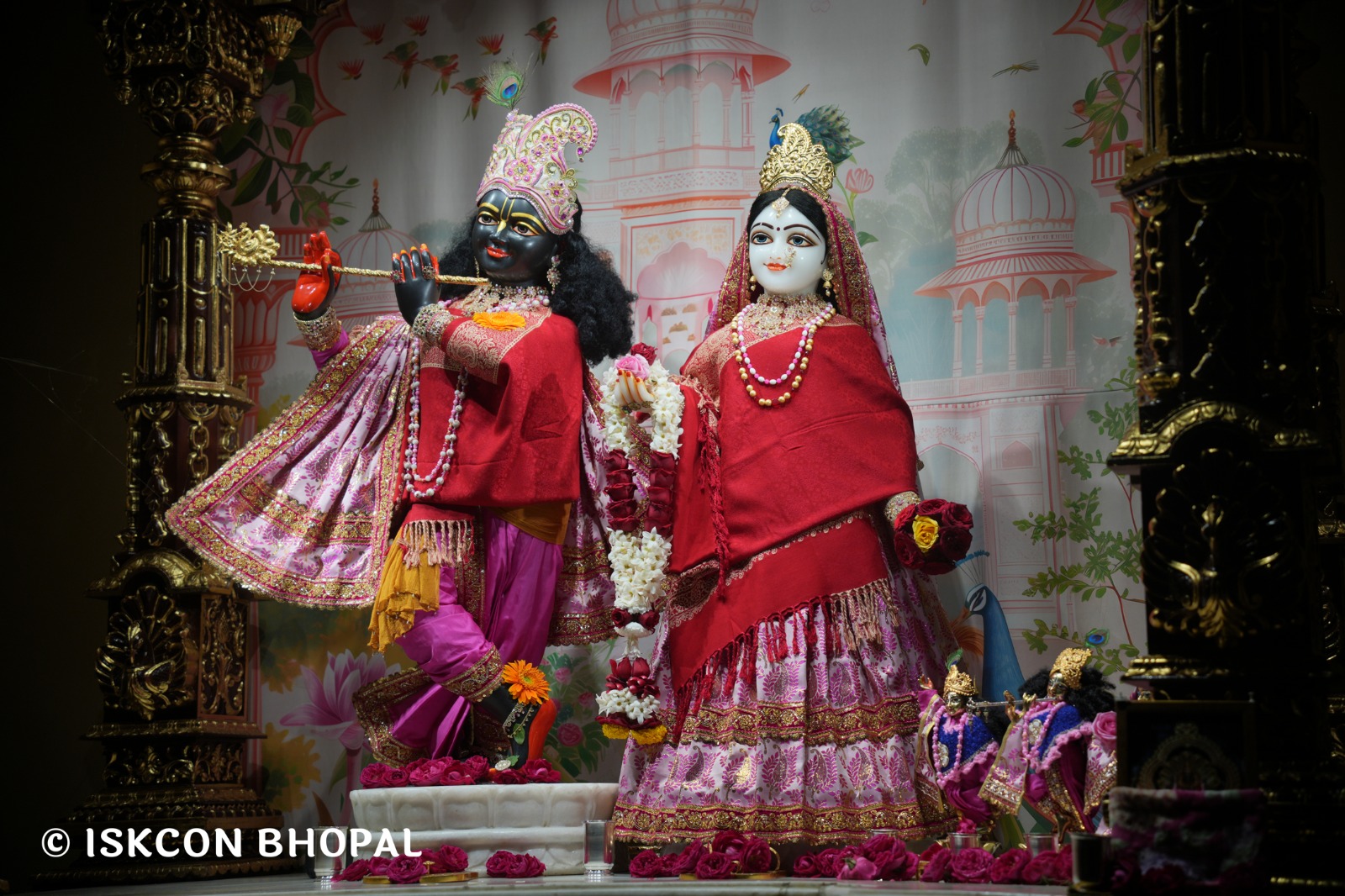 WhatsApp Image 2026-02-13 at 8.27.25 AM (3)