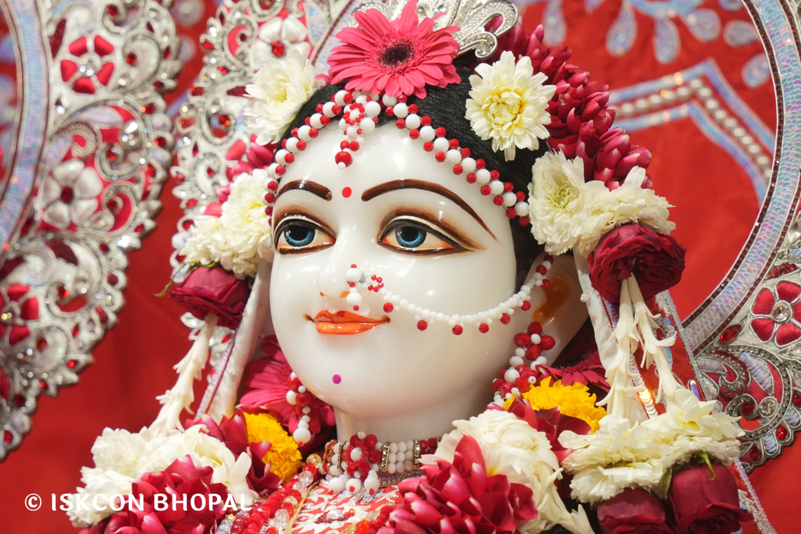 WhatsApp Image 2026-02-13 at 8.29.46 AM (1)