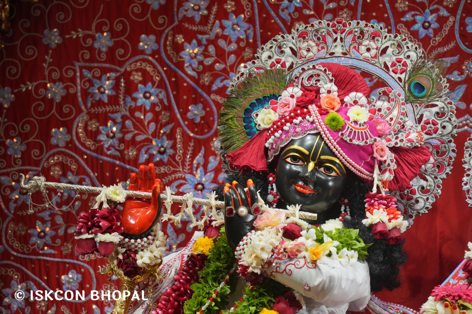 WhatsApp Image 2026-02-13 at 8.29.46 AM (2)