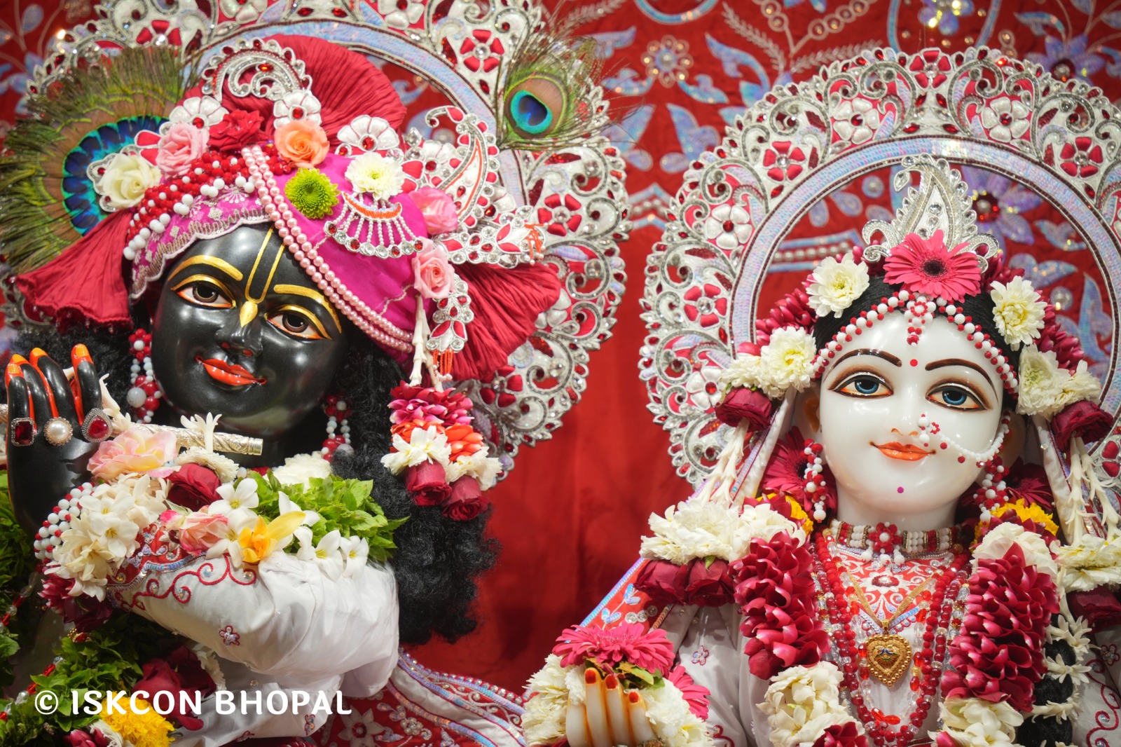 WhatsApp Image 2026-02-13 at 8.29.46 AM (3)