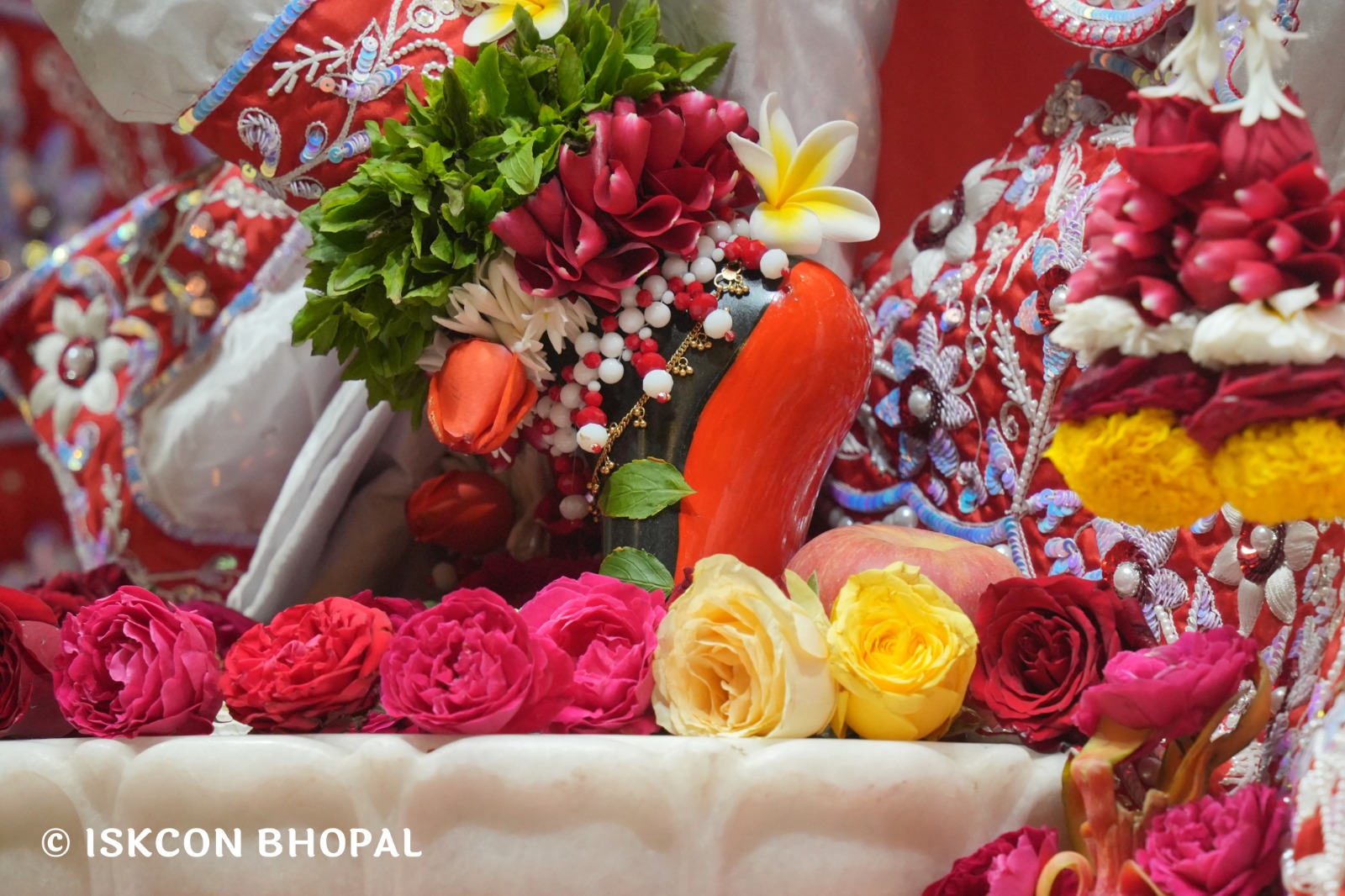 WhatsApp Image 2026-02-13 at 8.29.46 AM