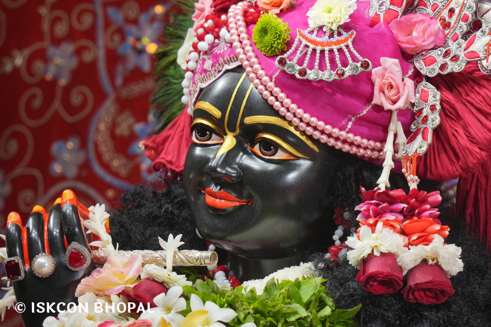 WhatsApp Image 2026-02-13 at 8.29.47 AM (1)