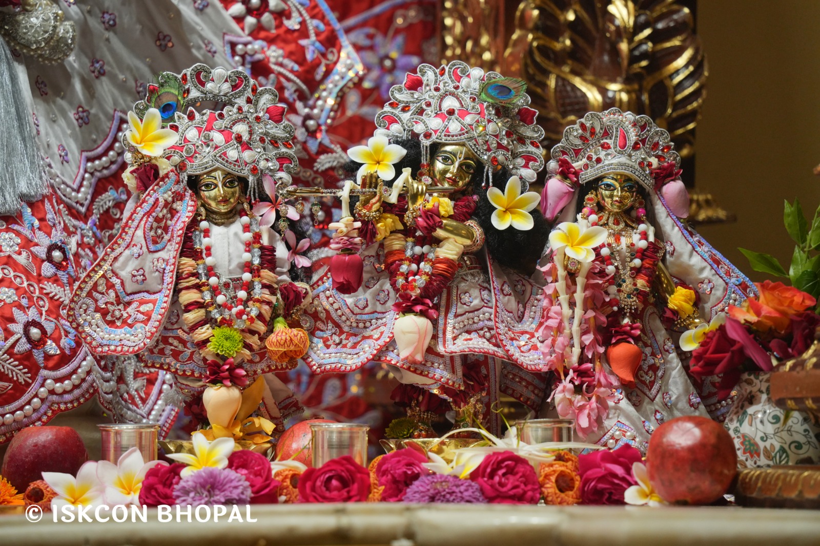 WhatsApp Image 2026-02-13 at 8.29.47 AM (2)