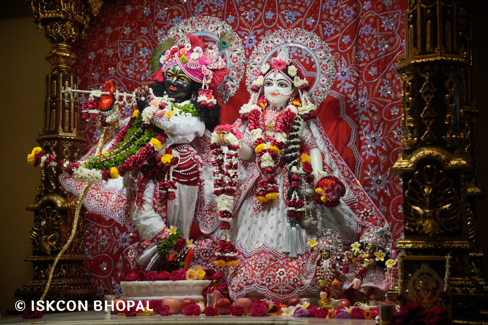 WhatsApp Image 2026-02-13 at 8.29.47 AM (4)