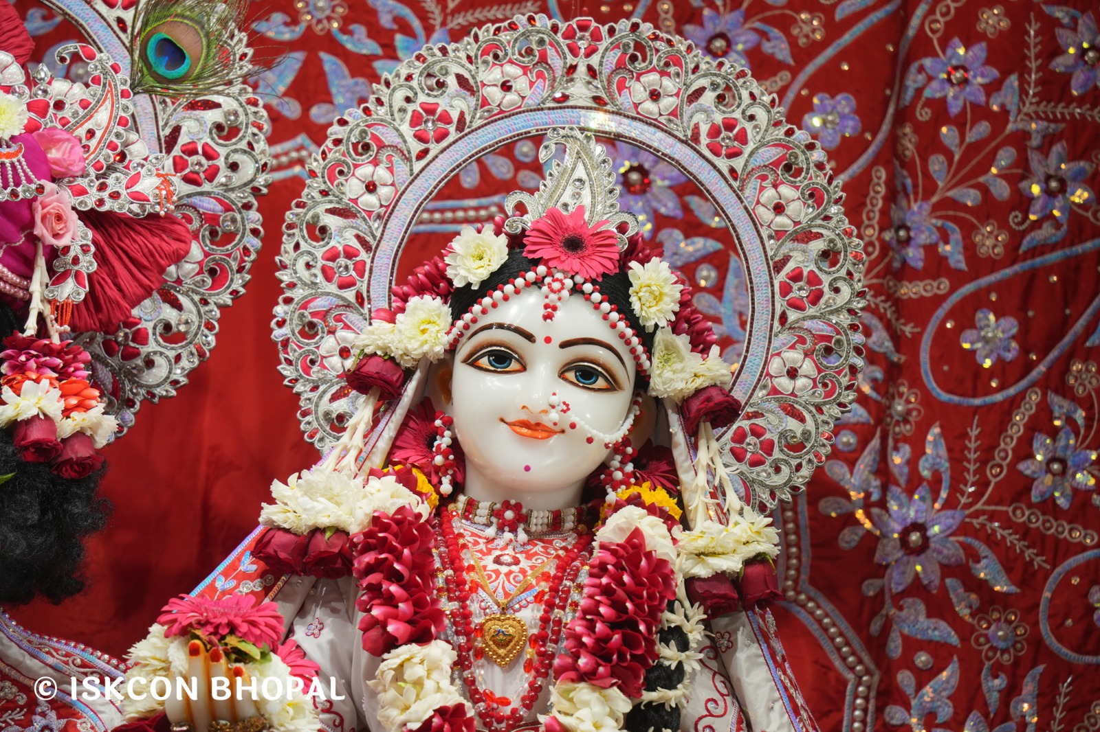 WhatsApp Image 2026-02-13 at 8.29.47 AM