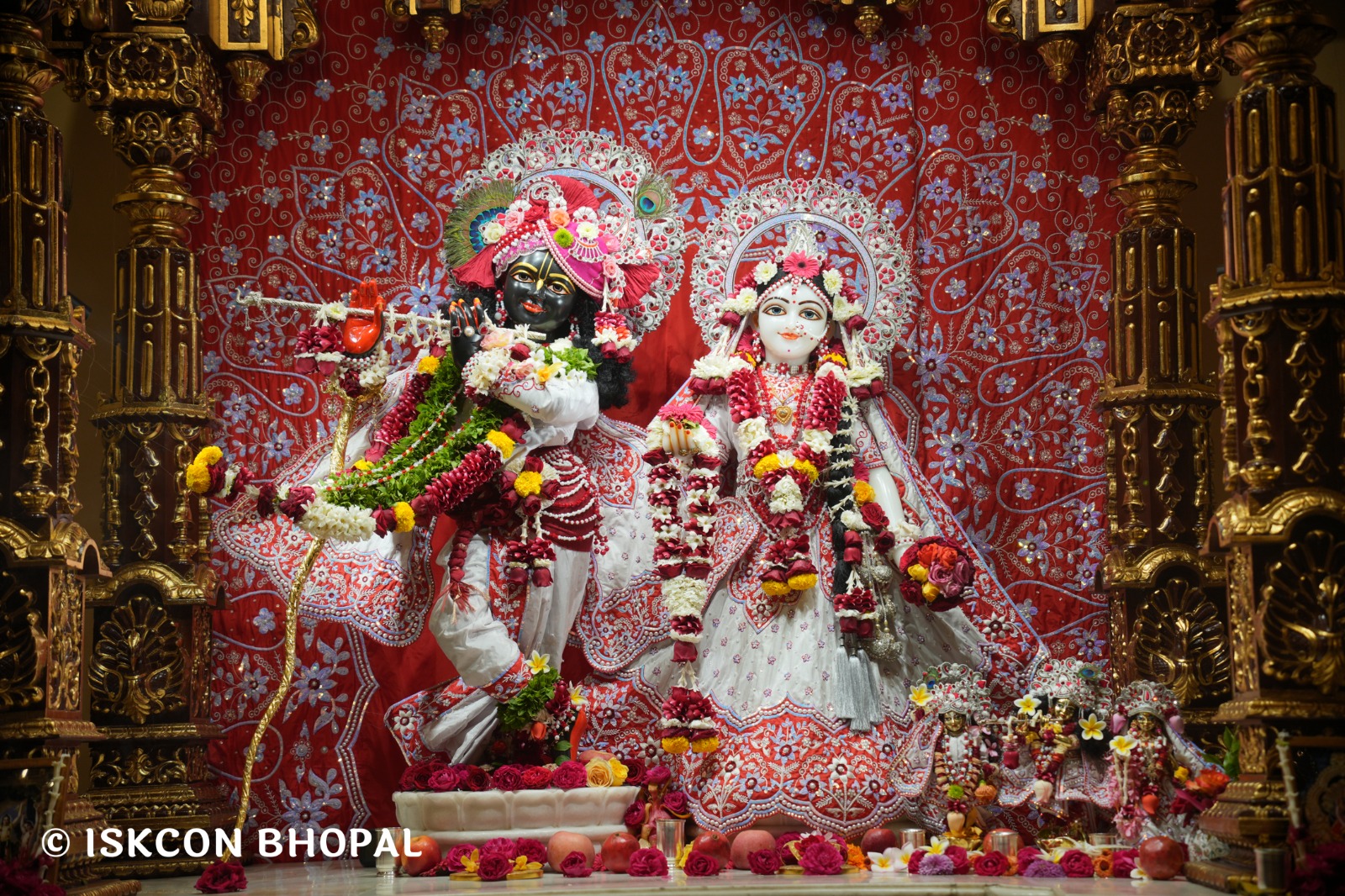 WhatsApp Image 2026-02-13 at 8.29.48 AM