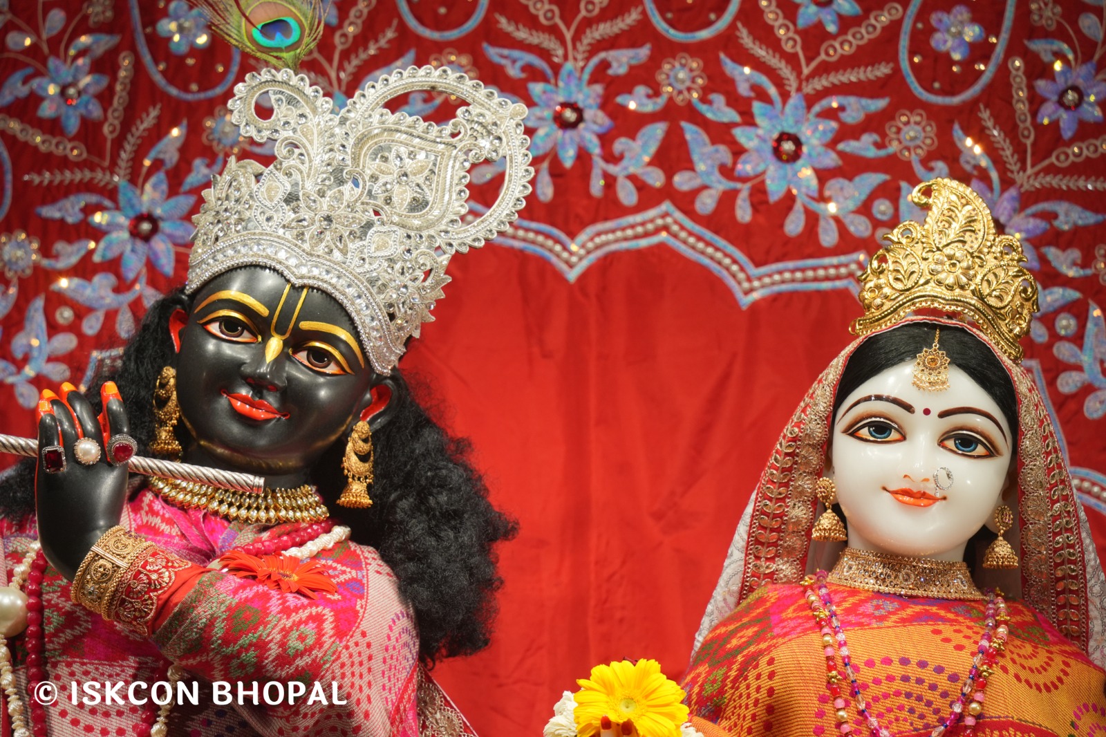 WhatsApp Image 2026-02-14 at 7.55.00 AM (1)