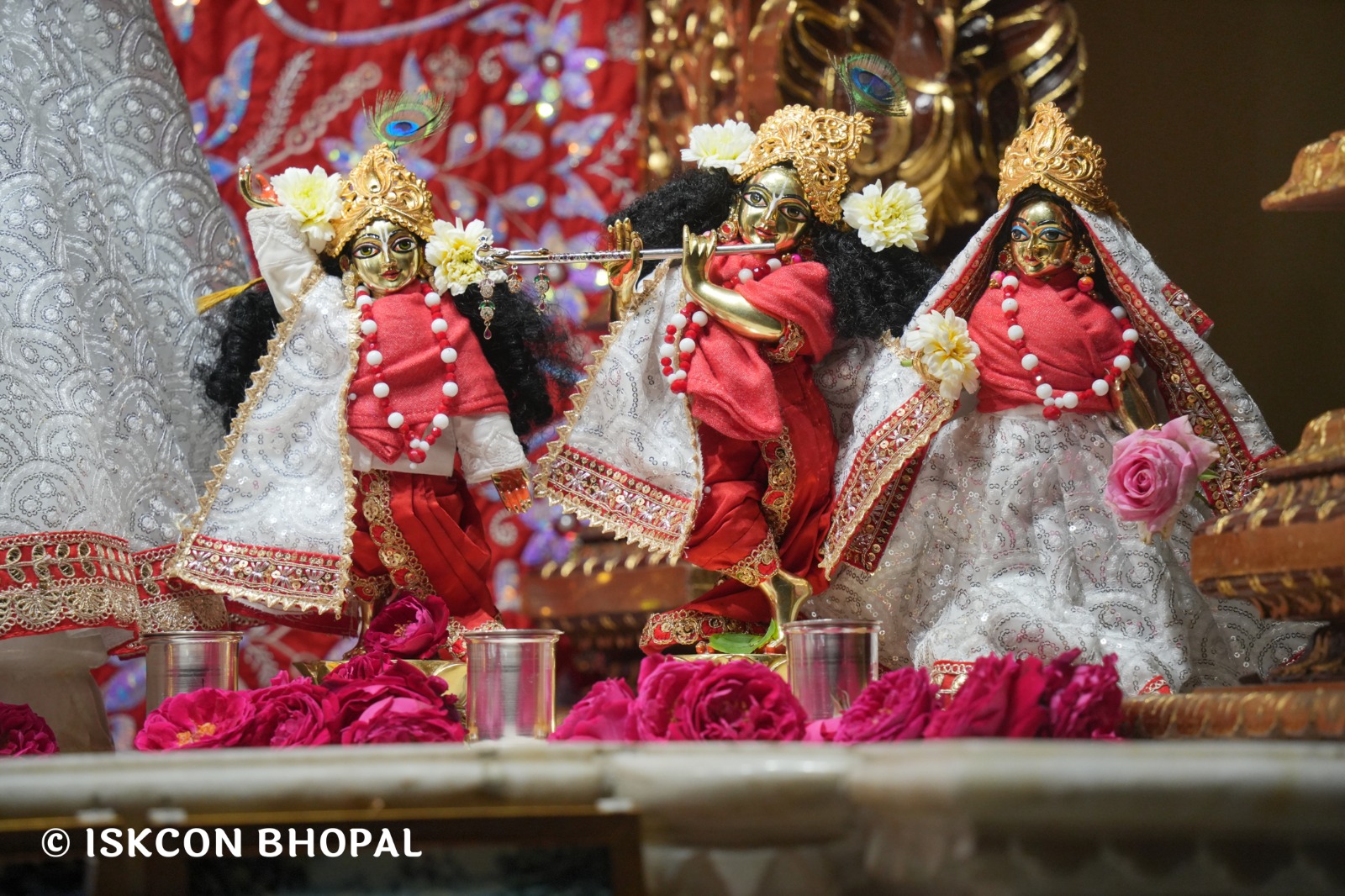 WhatsApp Image 2026-02-14 at 7.55.01 AM (1)