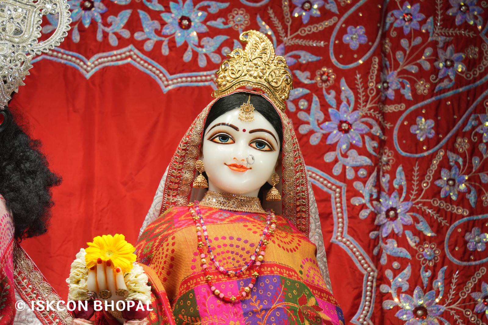 WhatsApp Image 2026-02-14 at 7.55.02 AM (1)