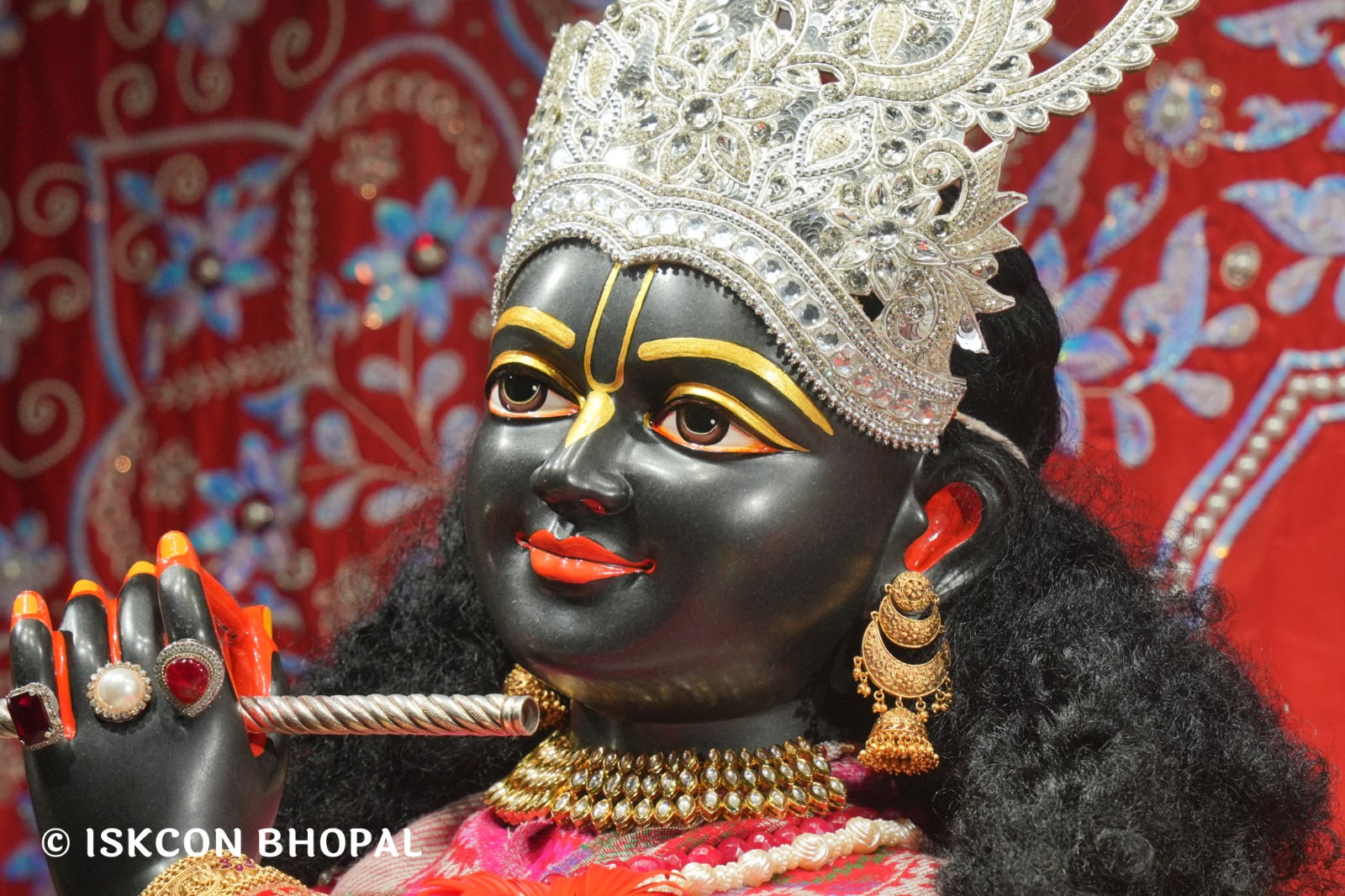 WhatsApp Image 2026-02-14 at 7.55.03 AM