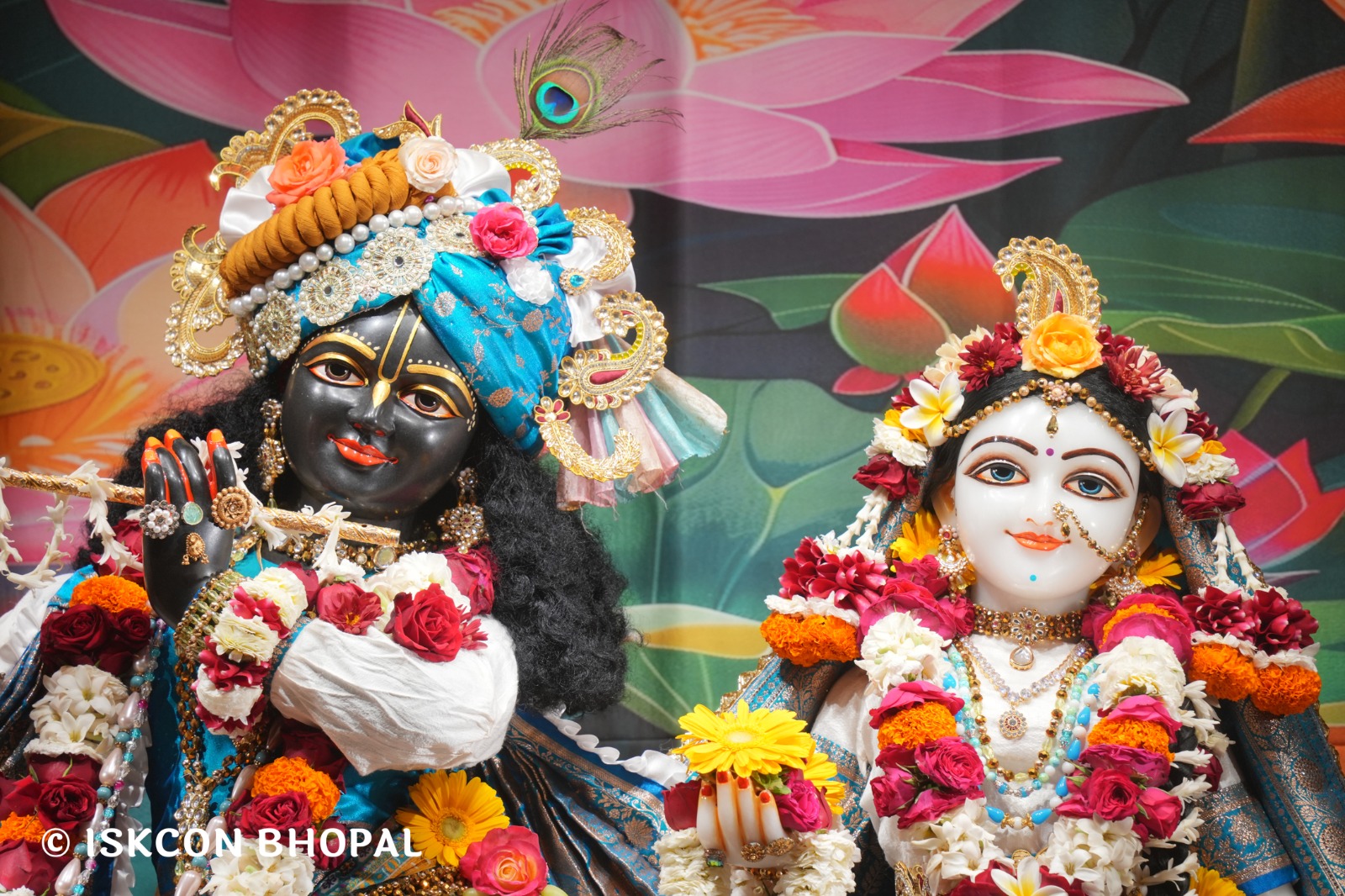 WhatsApp Image 2026-02-14 at 7.56.37 AM (2)