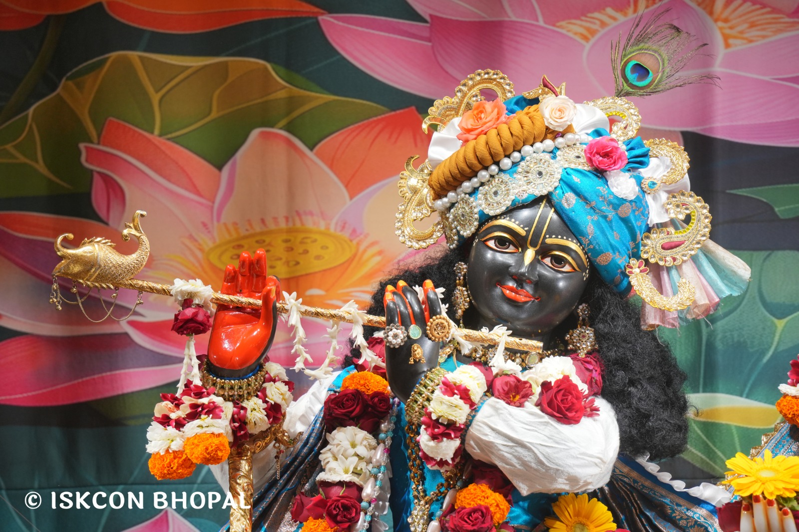 WhatsApp Image 2026-02-14 at 7.56.37 AM (3)