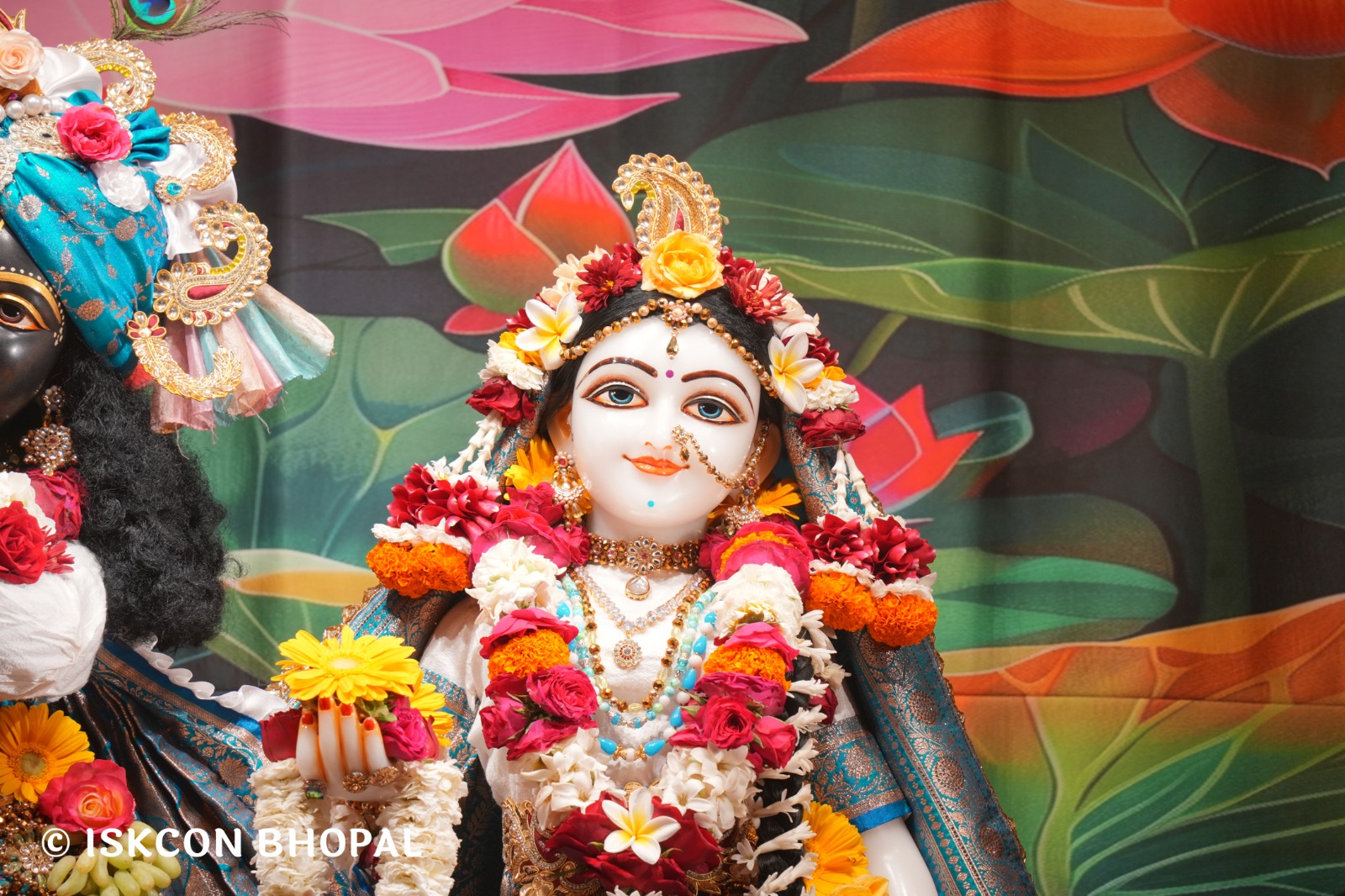 WhatsApp Image 2026-02-14 at 7.56.37 AM (4)