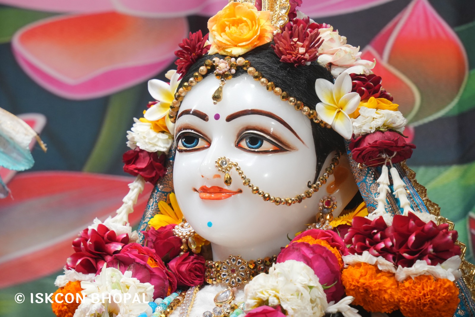 WhatsApp Image 2026-02-14 at 7.56.38 AM (1)