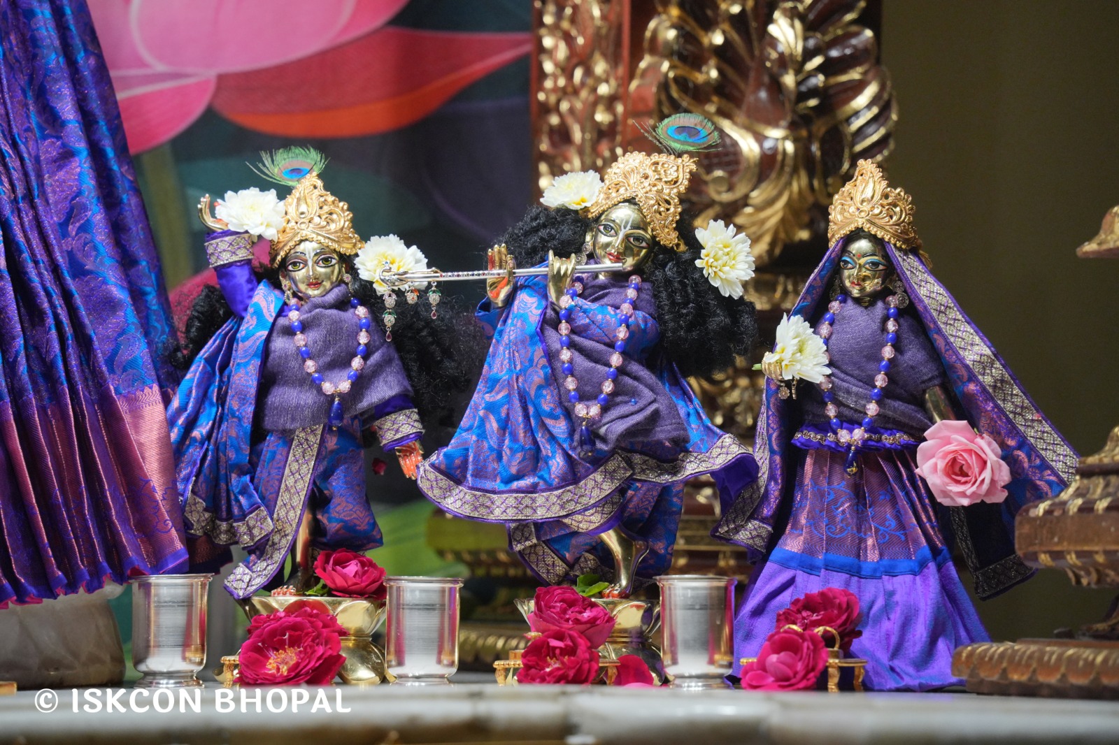 WhatsApp Image 2026-02-15 at 7.45.57 AM (4)