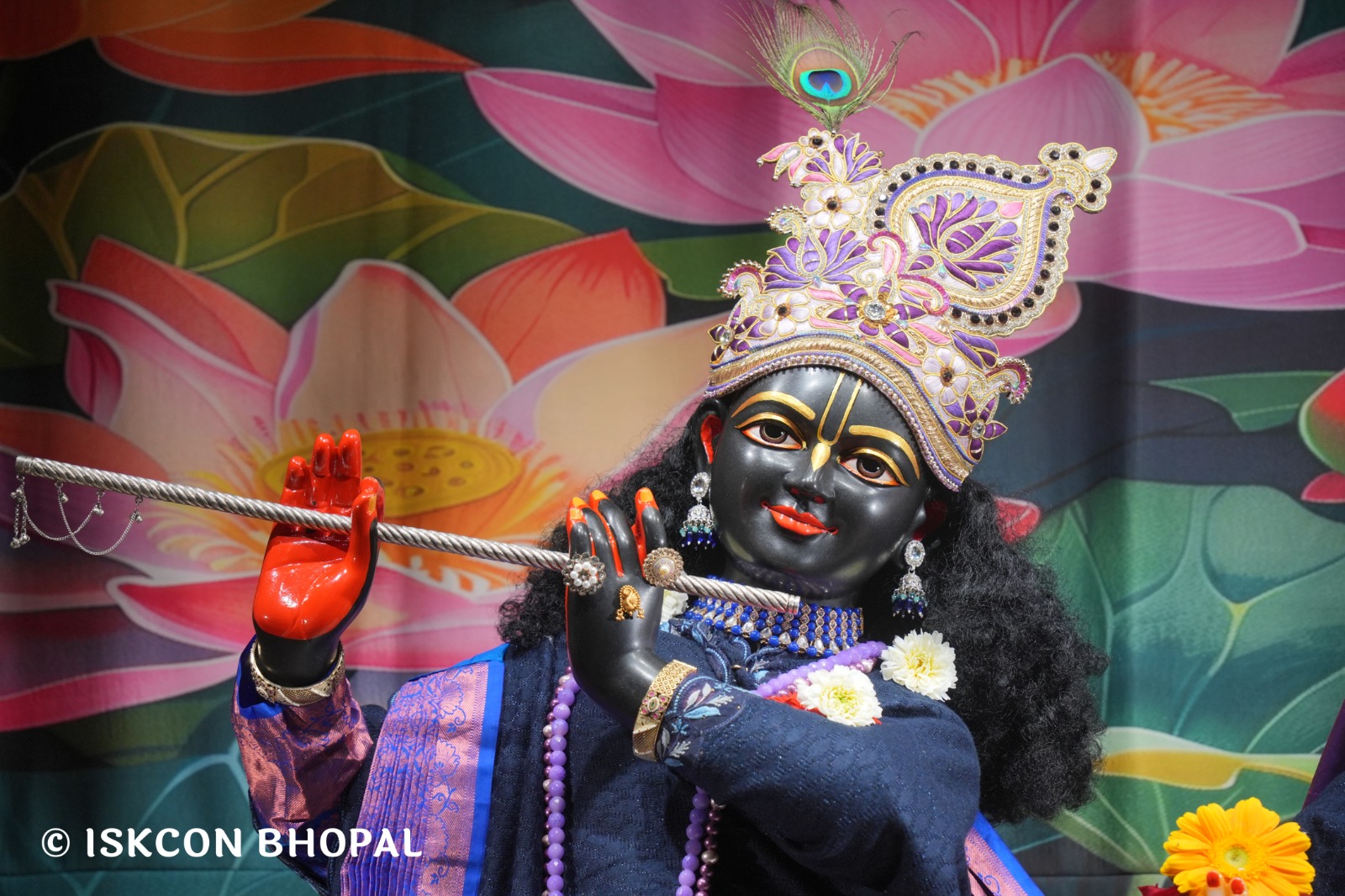 WhatsApp Image 2026-02-15 at 7.45.57 AM