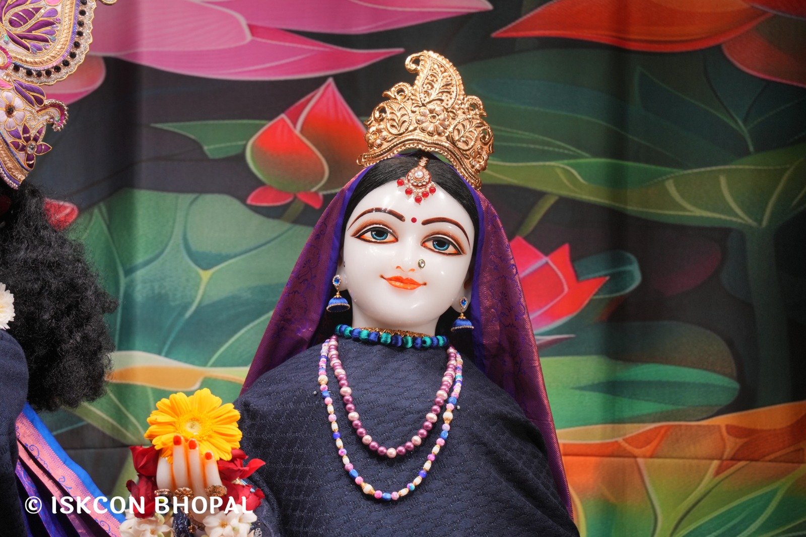 WhatsApp Image 2026-02-15 at 7.45.58 AM