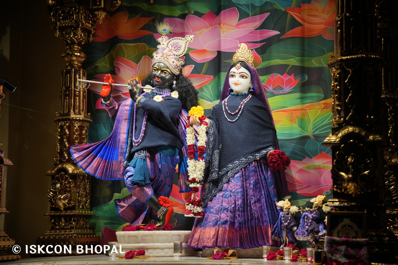 WhatsApp Image 2026-02-15 at 7.45.59 AM