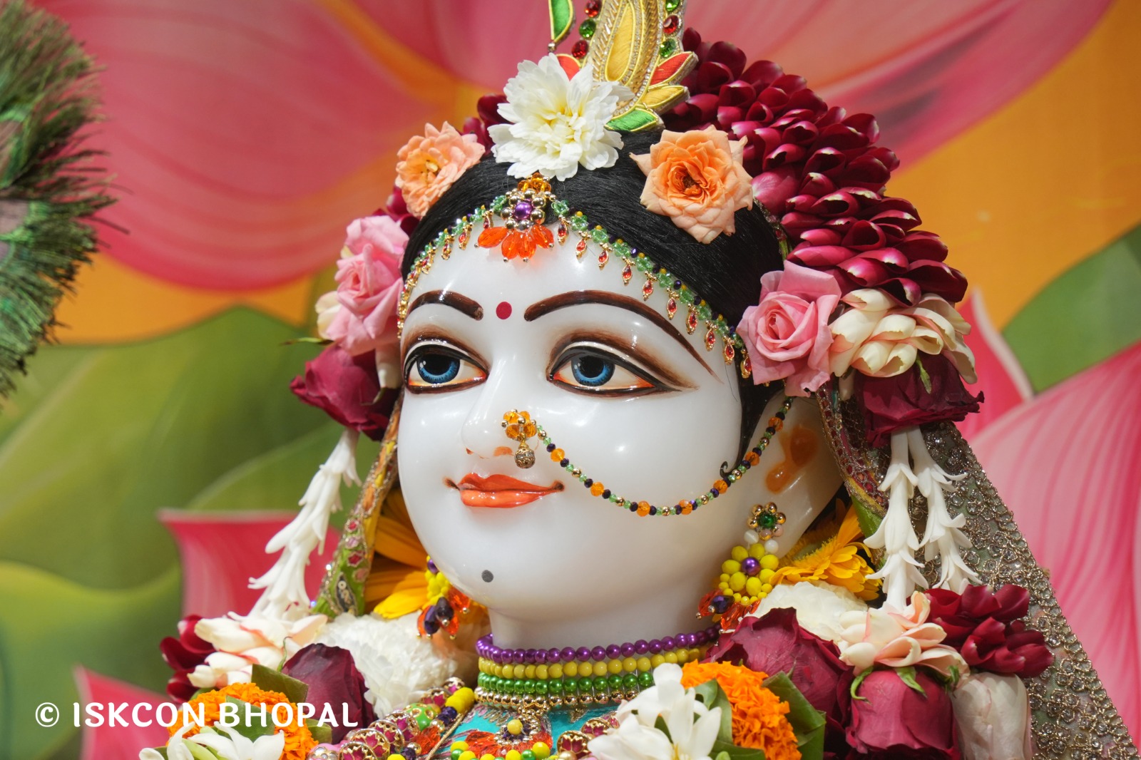 WhatsApp Image 2026-02-15 at 8.24.24 AM