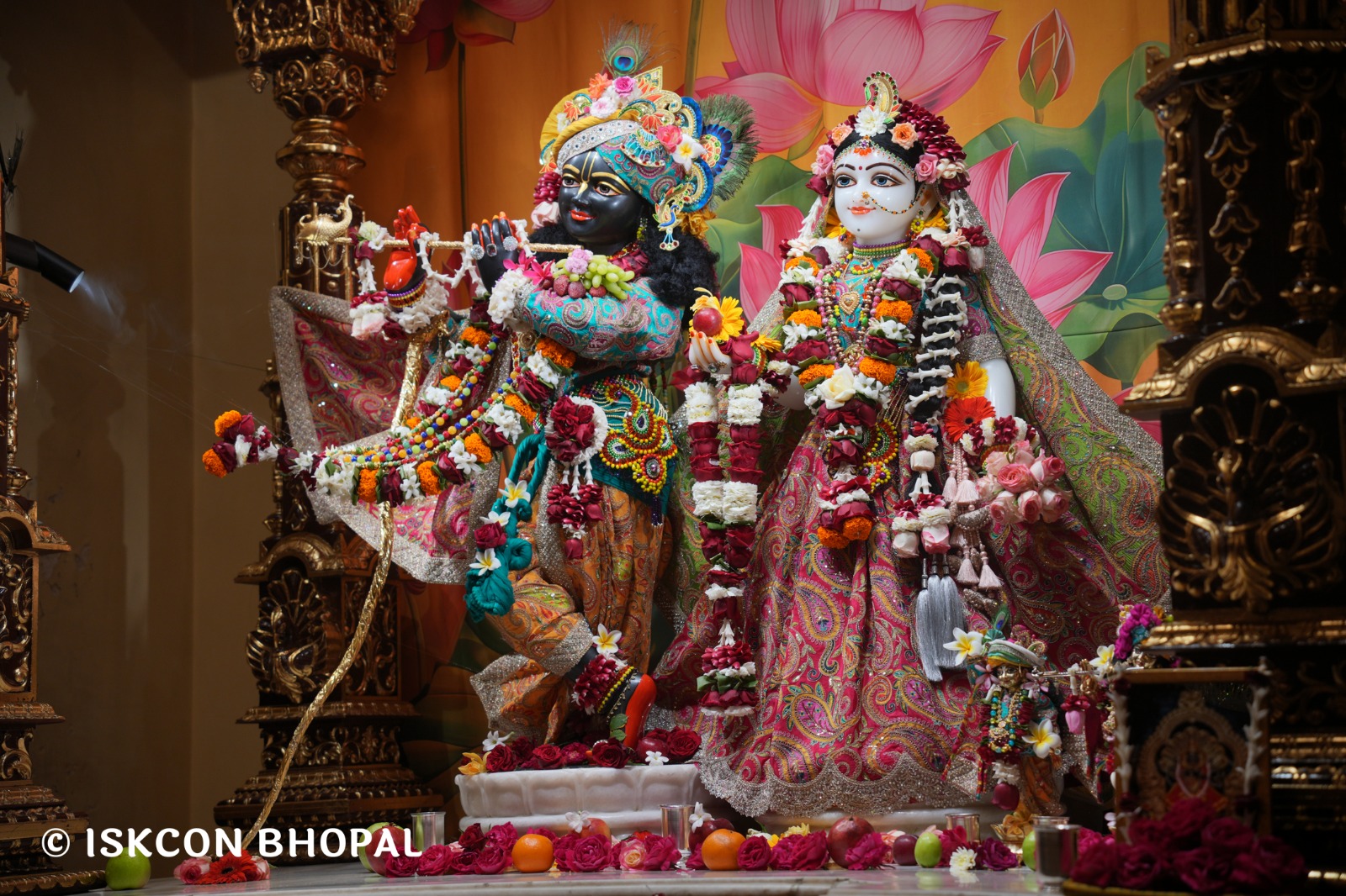 WhatsApp Image 2026-02-15 at 8.24.25 AM (1)