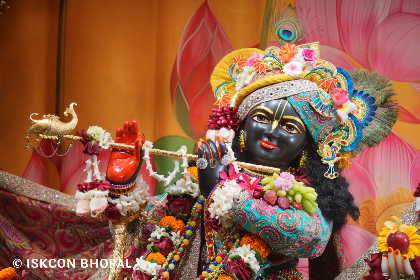 WhatsApp Image 2026-02-15 at 8.24.25 AM (2)