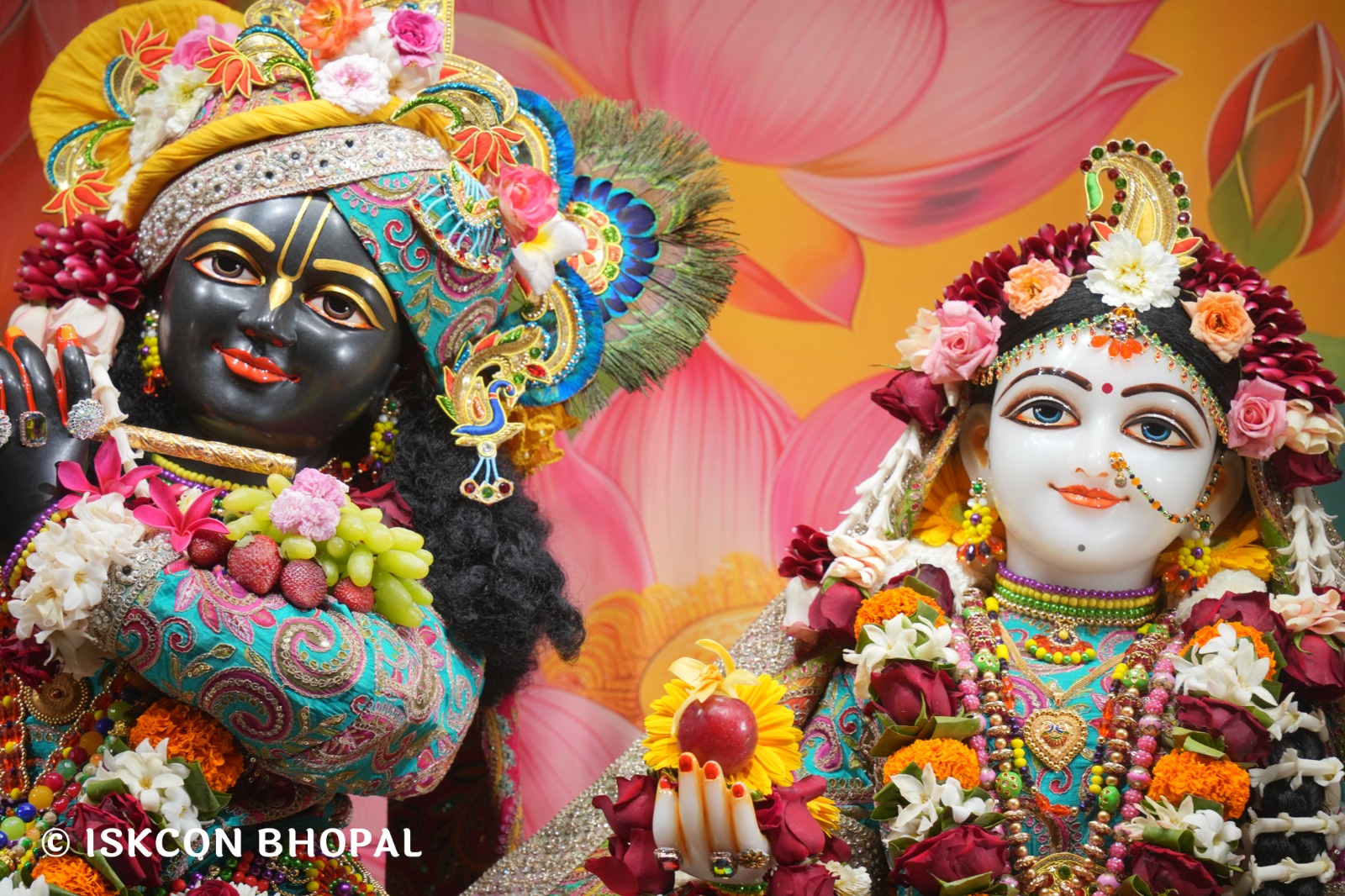 WhatsApp Image 2026-02-15 at 8.24.25 AM (3)