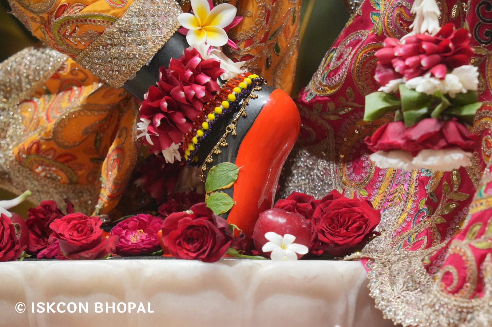 WhatsApp Image 2026-02-15 at 8.24.25 AM