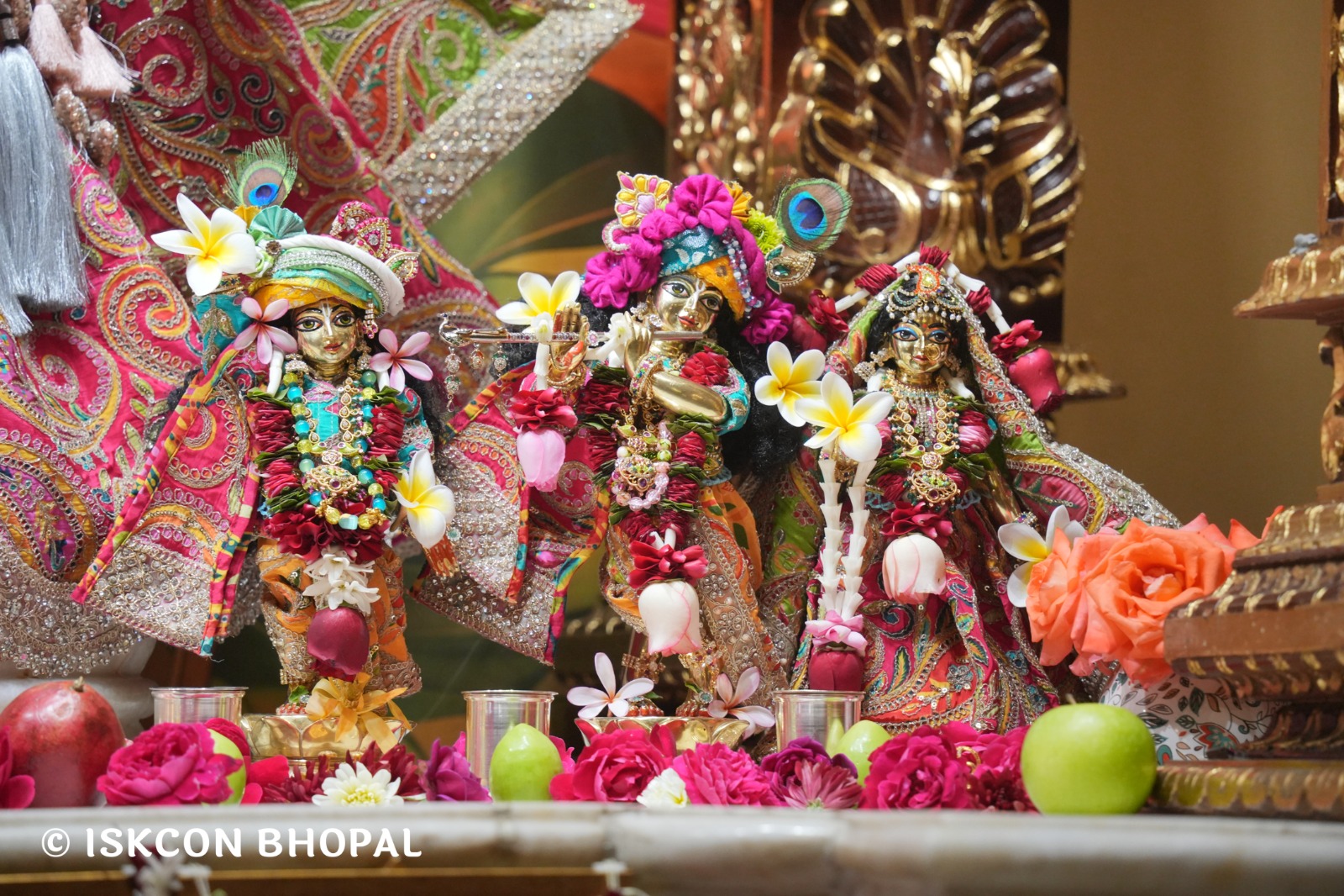 WhatsApp Image 2026-02-15 at 8.24.26 AM (1)