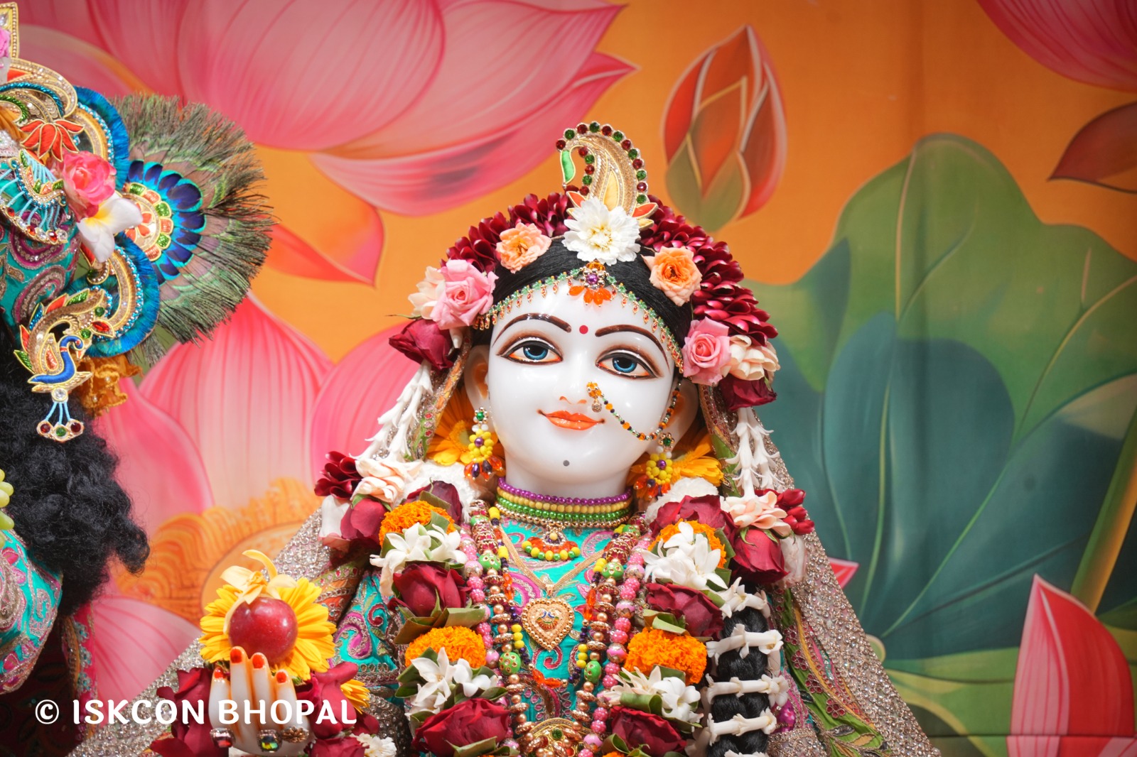 WhatsApp Image 2026-02-15 at 8.24.26 AM (2)