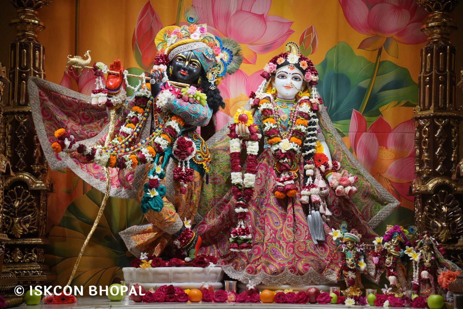 WhatsApp Image 2026-02-15 at 8.24.26 AM (3)