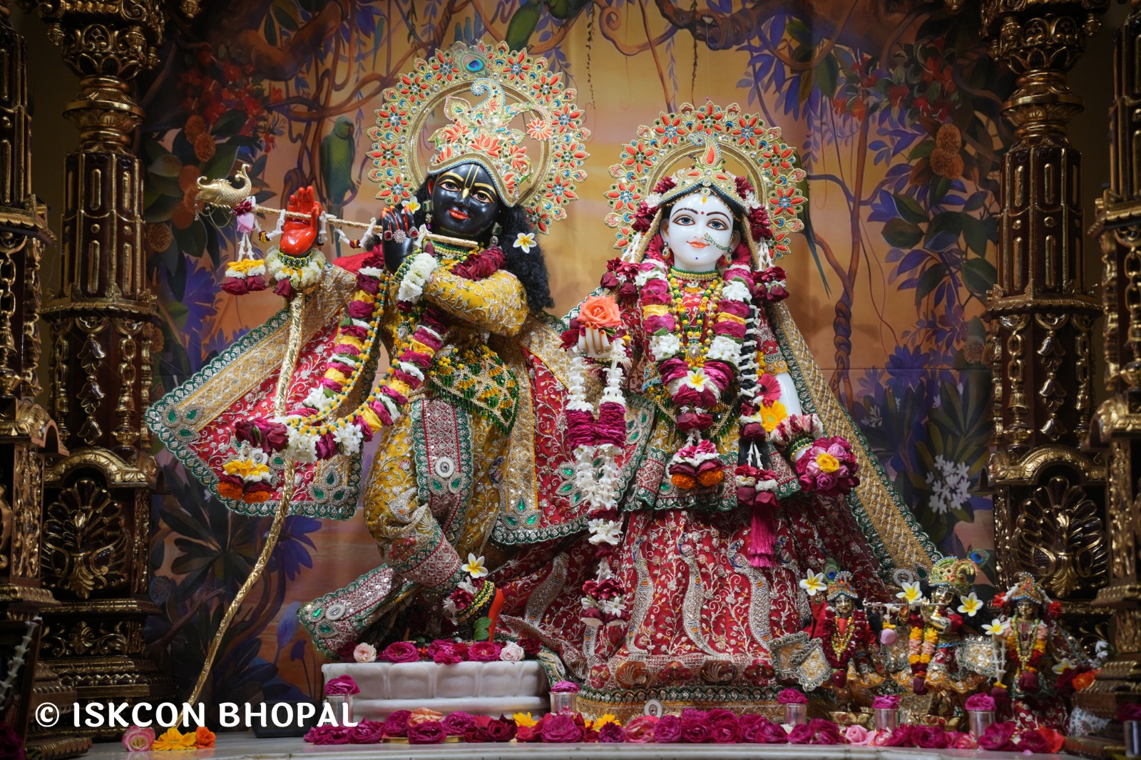 WhatsApp Image 2026-02-16 at 12.15.39 PM (1)