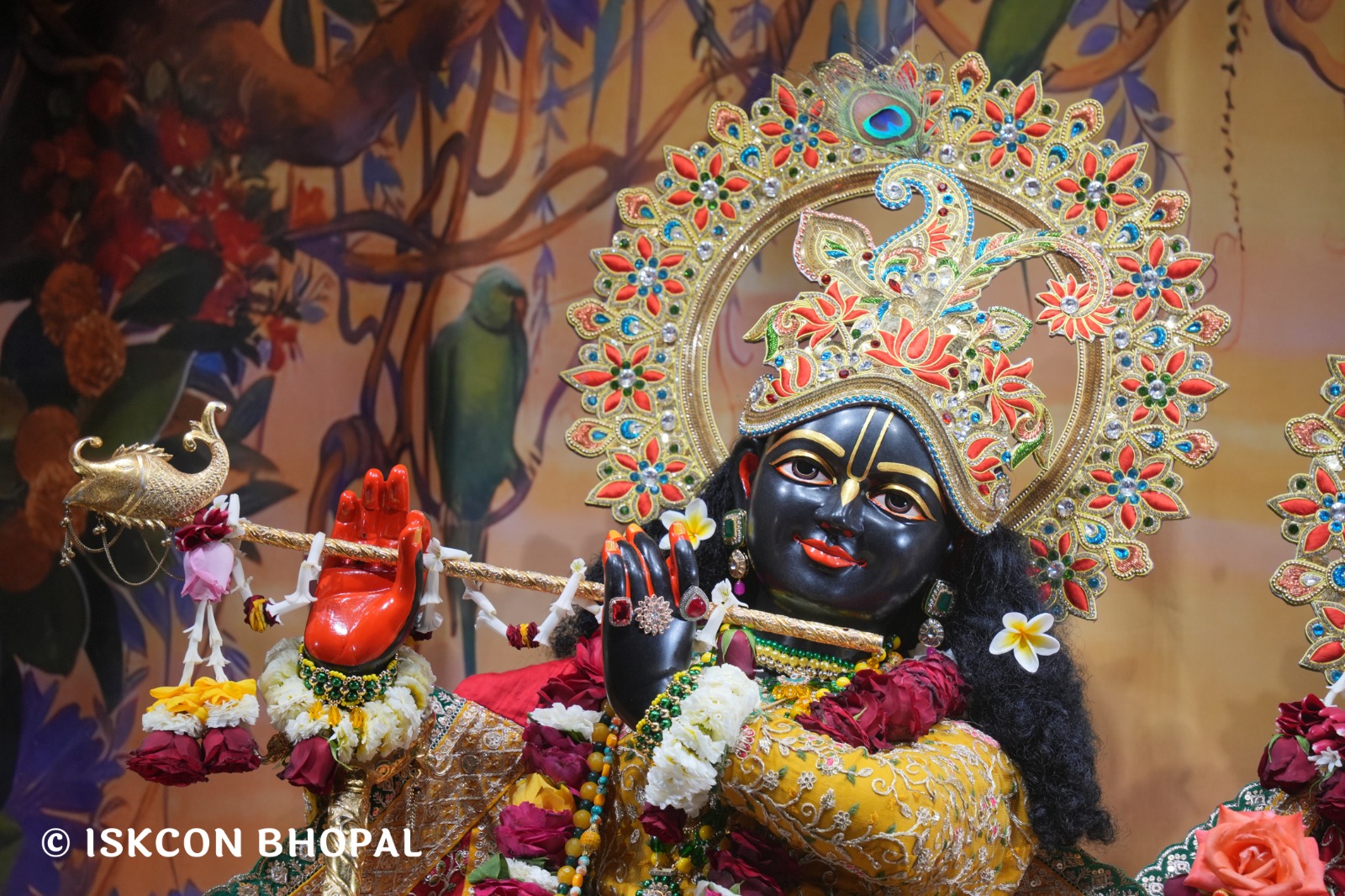 WhatsApp Image 2026-02-16 at 12.15.39 PM (2)